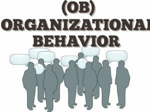 Certificate in Organizational Behavior