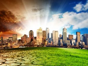 Certificate in Introduction to Urban Humanitarianism