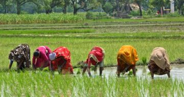 Postgraduate-Diploma-in-Food-Security-Management